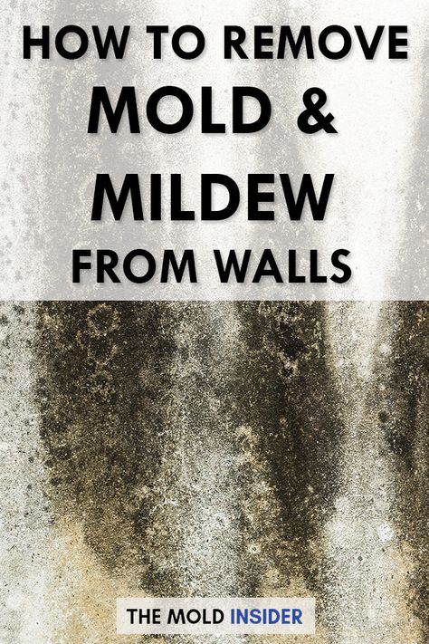 How To Remove Black Mold From Walls, Best Mold And Mildew Remover, Homemade Mold Remover, Mold Remover Bathroom Walls, How To Remove Mold From Basement Walls, Getting Rid Of Mold On Walls, Clean Mold Off Walls, How To Remove Mildew From Clothes, Natural Mold And Mildew Remover