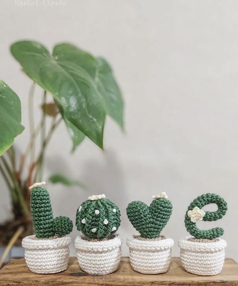 Cactus En Crochet, Bouquet Crochet, Crochet Succulent, Confection Au Crochet, Crochet Cactus, Crochet Bouquet, Crochet Plant, Crochet Simple, Crochet Decoration