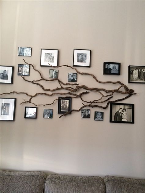 Real Tree branches hung on a wall to make this stylish Family Tree Photo display Creative Wall Photo Display, Family Tree Home Decor, Picture Tree Wall, Family Tree Decor For Walls, Photo Tree Wall, Family Tree Gallery Wall, Family Tree Picture Wall, Takken Decor, Family Tree Photo