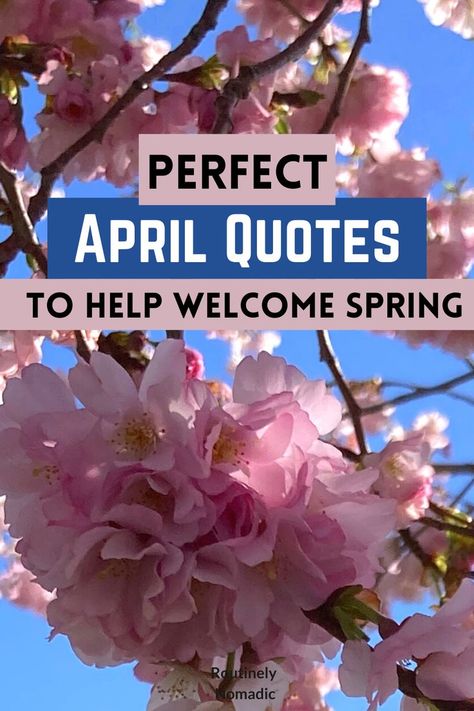 Here are the best April quotes and sayings. Including ones that are the inspirational, cute, funny, hilarious, short, for April 1st, welcome April sayings and hello April sayings and April Fools Day quotes. Find the best Month of April quotes that fits your experience, picture or just inspires you! First Day Of April Quotes, Hello April Quotes Inspiration, Quotes About April Month, April 1 Quotes, 1st Of April Quotes, April Month Quotes Inspirational, Quotes For April Month, April Showers Bring May Flowers Quotes, 1st April Quotes