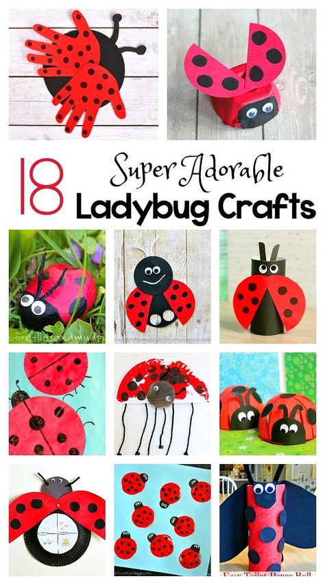 18 Adorable Ladybug Crafts for Kids including ladybugs made from egg cartons, toilet paper rolls, cupcake liners, paper plates and more! Perfect for an insect, gardening, or bug unit or for spring and summer! Ladybug Crafts For Kids, Grouchy Ladybug, Insect Crafts, Ladybug Theme, Ladybug Crafts, Bug Crafts, Spring Crafts For Kids, Spring Activities, Crafts For Kids To Make