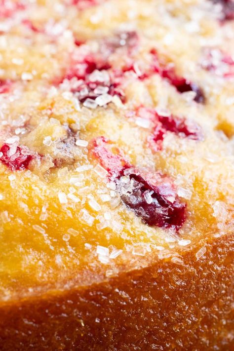 Cranberry Orange Loaf Cake Joy The Baker, Orange Cranberry Pound Cake Recipe, Moist Cranberry Bread, Cranberry Orange Crumb Cake, Cranberry And Orange Loaf Cake, Panera Cranberry Orange Bread, Cranberry Buttermilk Breakfast Cake, Cranberry Orange Pecan Crisp, Cranberry Orange Coffee Cake Recipes