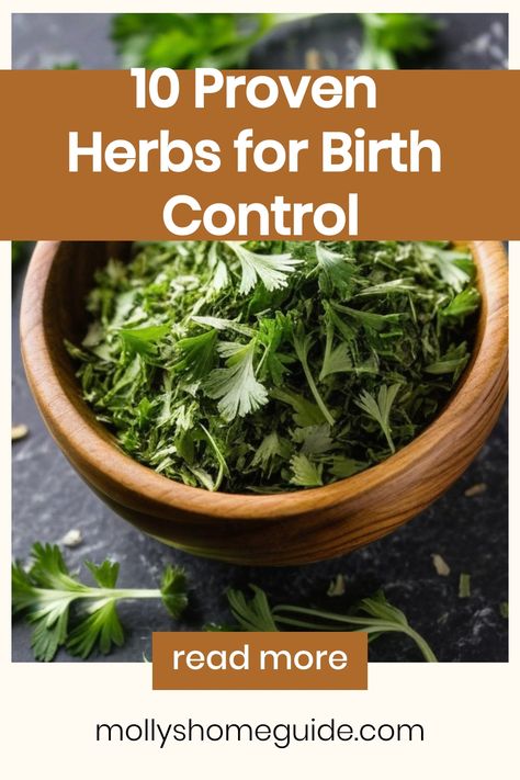 Explore the natural world of herbs for birth control and hormone balance. Discover the power of contraceptive herbs in maintaining reproductive health. Learn about effective herbal remedies for natural birth control. Find out which herbs promote hormone balance to support overall wellness. Dive into the benefits of using herbs as a safe alternative to traditional birth control methods. Uncover valuable information on which herbs to avoid during pregnancy and how certain herbs can help prevent mi Herbal Birth Control Natural, Natural Contraception Herbs, Herbs For Birth Control, Herbs To Avoid During Pregnancy, Herbal Birth Control, Natural Birth Control Methods, Birth Control Herbs, Natural Contraception Methods, Herbal Contraceptive