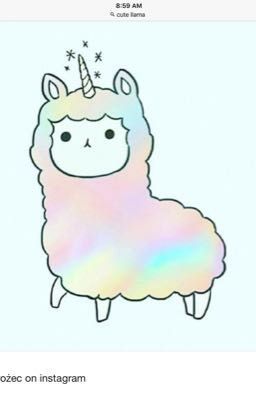 A unicorn llama gets colour for the first time Llama Unicorn, A Unicorn, Llama, First Time, The First