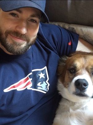 A photo of Chris Evans with his dog Christopher Evans, Steve Rogers Captain America, Robert Evans, Chris Evans Captain America, Mark Ruffalo, Kiwi Fruit, Memes Br, Man Thing Marvel, Handsome Man