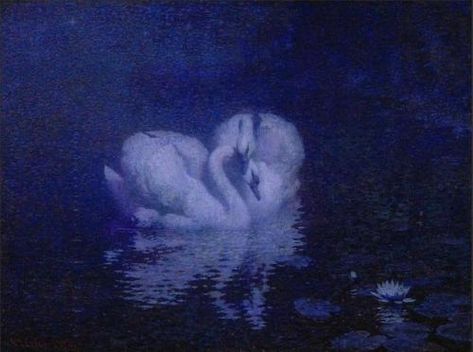 William Robinson, Swan Painting, Swan Princess, Mazzy Star, Lake Painting, White Swan, Swan Lake, Black Swan, Wildlife Art