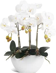 Ziwon Artificial Orchid Flowers Potted in Ceramic Pot, White Faux Phalaenopsis Orchids for Table Centerpiece, Realistic Fake Flower in vase for Home Office Decor Indoor Flower In Vase, Orchid Flower Arrangements, Silk Orchids, Airbnb Design, Grass Decor, Orchid Color, Faux Floral Arrangement, Artificial Orchids, Orchid Flowers