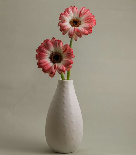 Flowers In A Vase Reference, Flower In Vase Reference, Single Flowers In Vases, Small Vases With Flowers Simple, Single Flower Aesthetic, Aesthetic Vase Of Flowers, Flowers In Vase Aesthetic, Single Flower In Vase, Floreros Aesthetic