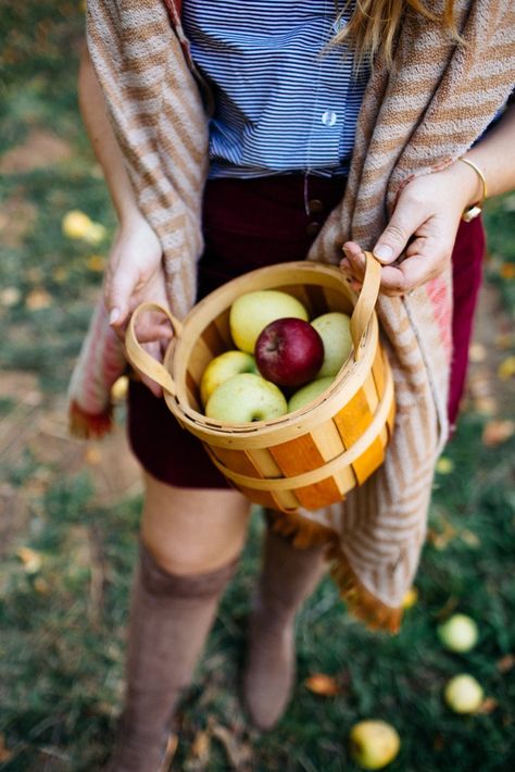 Who else is ready for fall? These are the cutest apple picking outfits to wear to the orchard that you can shop online! From a gingham dress to blanket scarf, wear this fall outfit to the orchards for a cute fall photo shoot! #applepicking #falloutfit #gingham #fallstyle Cute Apple Picking Outfits, Apple Hill California, Picking Outfits, Apple Picking Outfit, Red Gingham Dress, Apple Hill, Blueberry Picking, Tasty Desserts, Apple Season