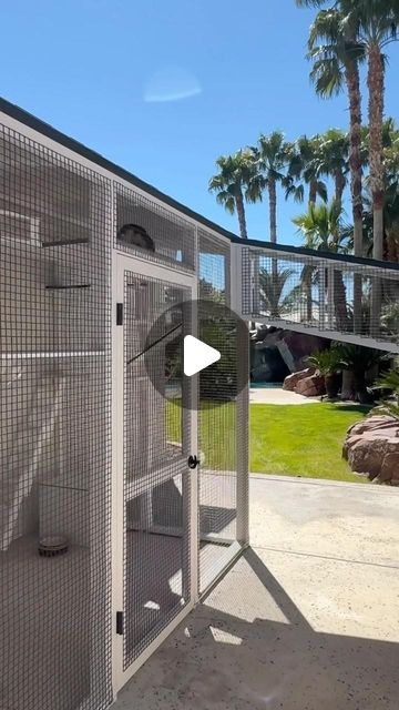 Cat Outside House, Catio Attached To House, Outdoor Catio Cat Enclosure, Pvc Catio Diy Plans, Cat Inclosers Outside, Free Catio Plans, Cat Catio Enclosure, How To Build A Catio For Cats, Diy Catios For Cats Outside Easy