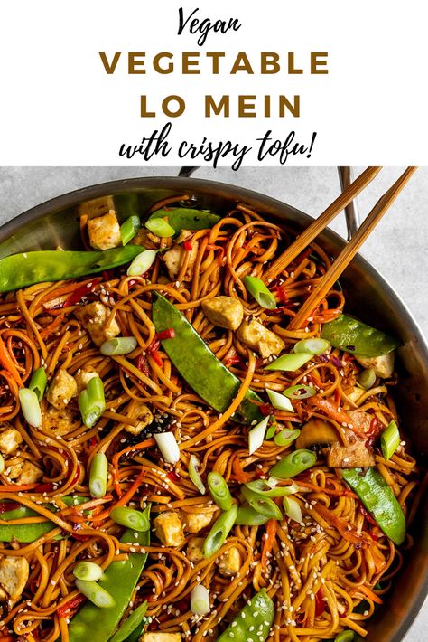 Vegan Noodle Sauce, Plant Based Chinese Recipes, Vegan Lo Mein Recipe, Tofu Chow Mein, Vegan Chow Mein Recipe, Vegan Rice Noodle Dishes, Tofu Lo Mein, Vegan Noodle Dishes, Vegan Rice Noodles