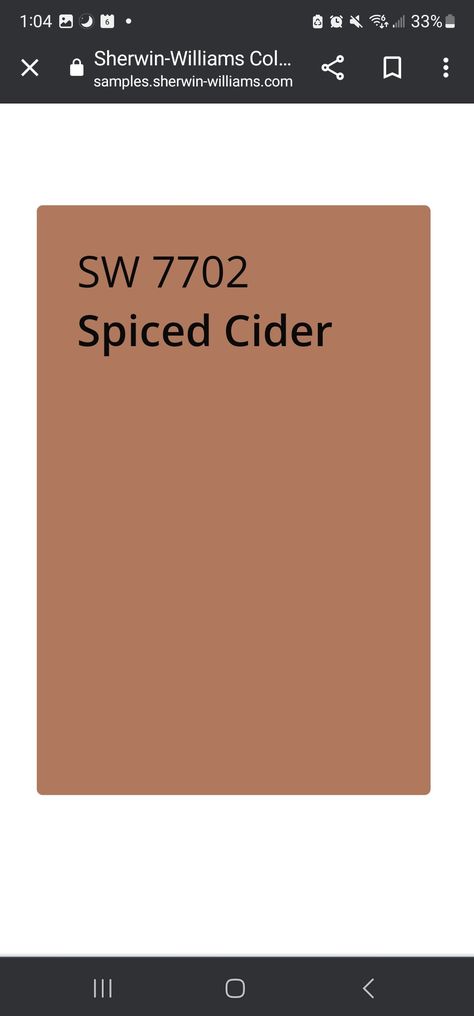 Terracotta Paint Color Bathroom, Rustic Orange Paint Color, Terracotta Accent Wall Bathroom, Sherwin Williams Moroccan Spice, Spiced Cider Paint Color, Earthy Orange Paint Colors, Sw Spiced Cider Paint, Orange Brown Paint Colors, Earthy Front Door Colors