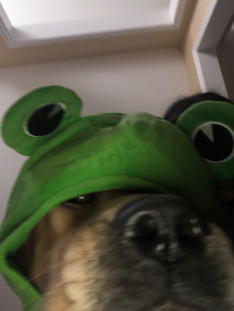 jameson in a frog hat:) Famous Boy, Frog Hat, A Frog, Head Over Heels, Atlanta Georgia, Georgia, Atlanta, Social Media