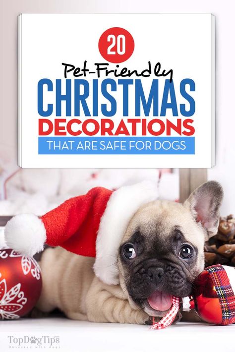 Dog Friendly Christmas Decorations, Banister Christmas Decorations, Dog Decorations, Dog Christmas Pictures, Christmas Pets, Puppy Proofing, Christmas Fireplace Decor, Dog Tips, Dog Ideas