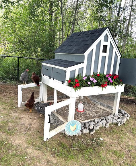 Small Chicken Coop Plans, Fancy Chicken Coop, Small Chicken Coop, A Frame Chicken Coop, Coop Run, Quail Coop, Backyard Chicken Coop, Backyard Coop, Small Chicken Coops