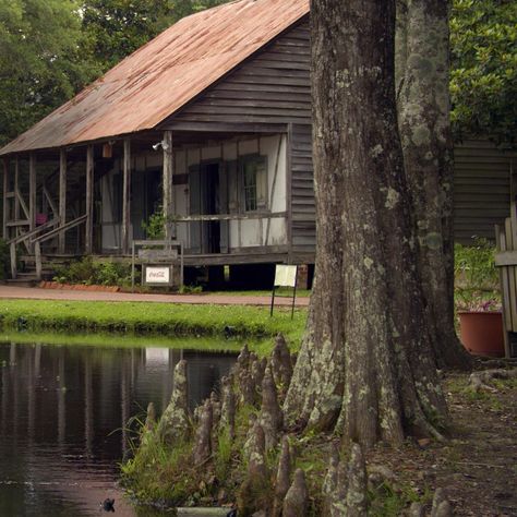 Bayou Aesthetic, Swamp Cabin, Bayou Cottage, Louisiana Aesthetic, Cajun Cottage, Bayou House, Mississippi River Delta, Bayou Country, Cypress Swamp