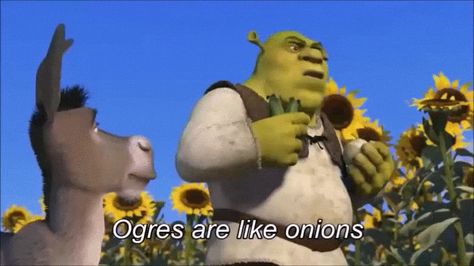 #Shrek, #Donkey, #Ogre, #Onion, #Literary Devices, #Figurative Language, #Simile, #ELA, #English, #ClassHook Shrek Gif, Shrek Onion, Shrek Quotes, Fiona Y Shrek, Shrek Funny, Shrek Donkey, Quotes On Twitter, Shrek Memes, Class Memes