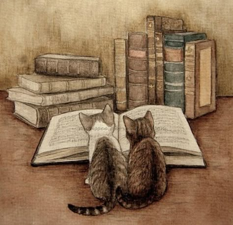 "In the Library" -- illustration by Maija Laaksonen Söt Katt, Image Chat, Cat Books, Pusheen, I Love Books, Cat Drawing, 귀여운 동물, Love Book, Crazy Cats