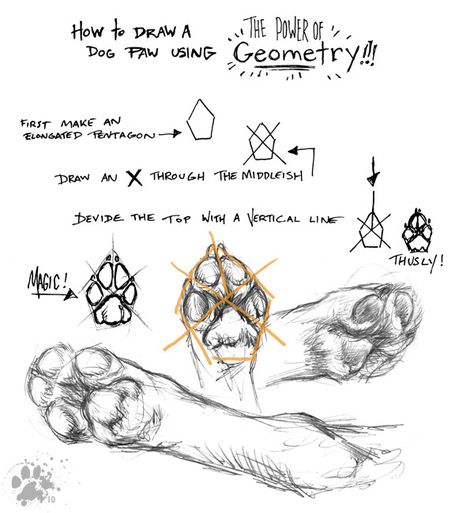 Dog Concept Art, Paws Drawing, Dog Paw Drawing, Dog Tutorial, Paw Drawing, Canine Drawing, Dog Anatomy, Drawing Dog, Drawing Animals