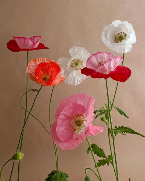 Poppies Flower Bouquet, Poppy Flower Bouquet, Design Garden Ideas, Icelandic Poppies, Poppy Bouquet, Aesthetic Garden, Easy Landscaping, Garden Aesthetic, Poppy Flowers