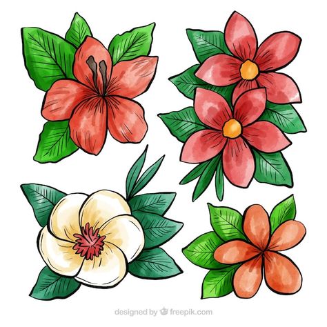 Tropical Flowers Drawing, Jungle Flowers, Vbs 2024, Watercolor Spring, Stage Decoration, Plant Vector, Flower Plants, Flower Collection, Cartoon Flowers