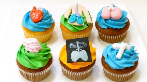 Human Body Birthday Party, Human Anatomy Birthday Party, Anatomy Organs, Call Me Cupcake, Boy Cake, Fourth Birthday, Themed Cupcakes, Cakes For Boys, Boy Birthday Party