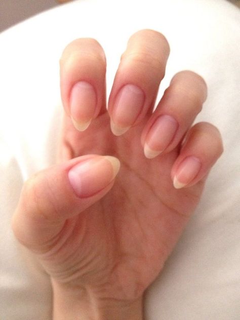 Almond Nails Natural, Natural Stiletto Nails, Natural Almond Nails, Short Almond Shaped Nails, Nail Shaping, Natural Nail Shapes, Almond Shaped Nails Designs, Short Almond Nails, Almond Shape Nails