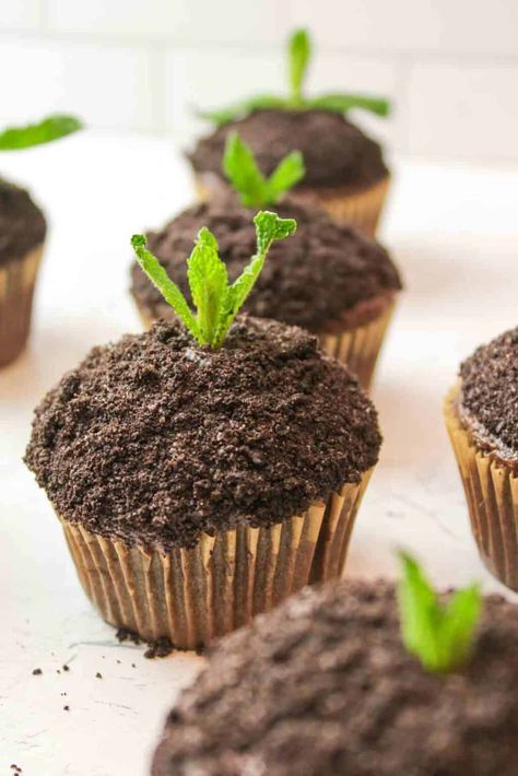 Plant Cupcakes Flower Pots, Plant Themed Baked Goods, Plant Theme Desserts, Nature Inspired Cupcakes, March Cupcake Ideas, Science Themed Baked Goods, Dirt Cup Dessert, Earth Day Cupcakes Ideas, Earth Day Treats For Kids