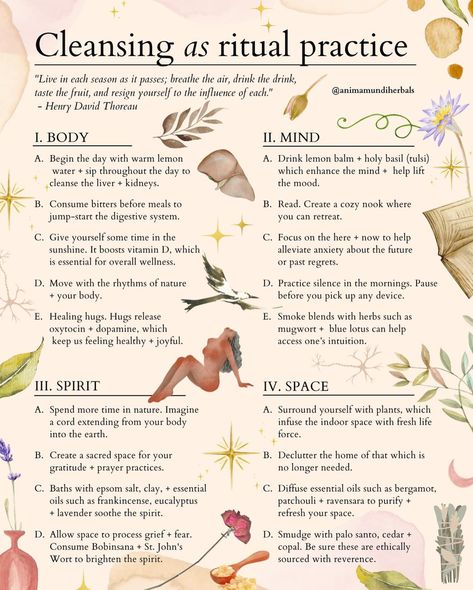 Feminine Health, Energy Healing Spirituality, Herbal Healing, Herbal Magic, Herbs For Health, Spiritual Health, Holistic Living, Healing Herbs, Mental And Emotional Health