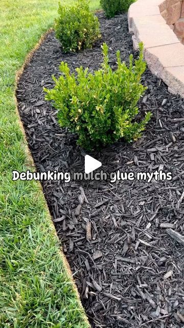 Mulch Glue, Garden Mulch, Front Lawn Landscaping, Mulch Landscaping, Front Lawn, Unique Gardens, House Landscape, Video Credits, March 21