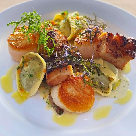 Pork Belly And Scallops, Plated Entrees, Bistro Recipes, Chef Jobs, Spinach Tortellini, Spring Menu, Bistro Food, Oyster Mushrooms, Scallop Recipes