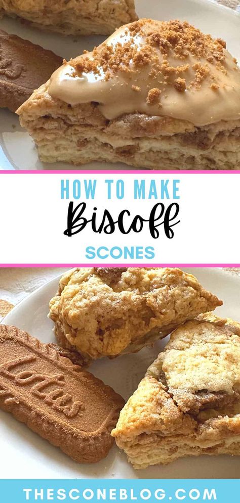 Craving something sweet and buttery? Try our Homemade Biscoff Scones recipe – an irresistible treat that's easy to make at home. 🍪❤️ #Biscoff #BiscoffScones #CookieButterScones Coffee Cake Scones, Turtle Scones Recipe, Vanilla Scones Recipe Easy, Cookie Butter Scones, Hibiscus Scones, Scone Packaging Ideas, Sweet Scones Recipe Easy, Savory Scones Recipe Easy, Savory Desserts Easy