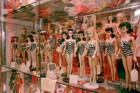 How to Display Dolls in Your Doll Collections How To Display Barbie Collection, Barbie Collection Display, Doll Collection Display, Barbie Display, Rosa Shocking, Doll Museum, Barbie Diorama, Barbie Barbie, Museum Displays