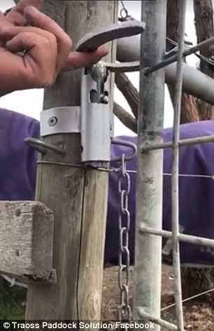 Ingenious replacement for a gate latch sets the internet alight Horse Shoe Gate Latch Ideas, Cattle Gate Latch Ideas, Farm Gate Latch Ideas Diy, Farm Gate Latch, Gate Latches Ideas, Metal Gate Latch Ideas, Gate Latch Ideas Diy, Diy Gate Latch, Gate Latch Ideas