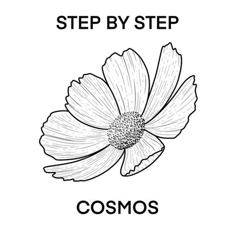 How To Draw Cosmos Flower Step By Step, Cosmos Flowers Drawing, Cosmos Drawing, Wildflowers Drawing, Cosmos Tattoo, Wildflower Drawing, Wavy Edges, Flower Step By Step, Draw Flowers