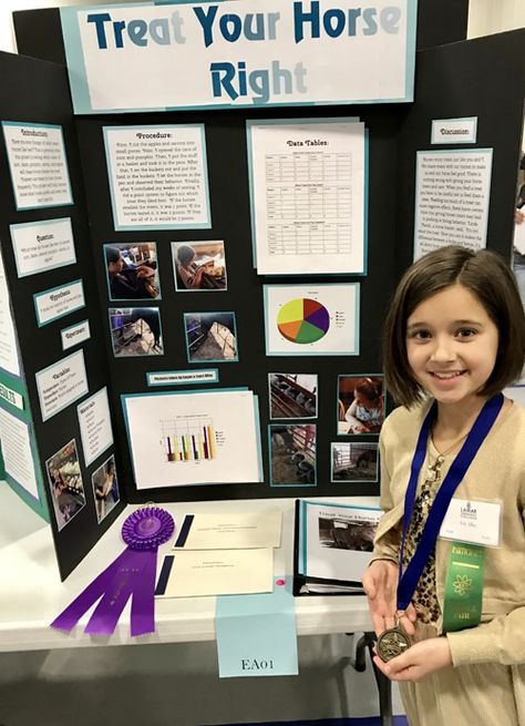 Treat Your Horse Right: A Grade 4 Science Project - Horse Lover's Math Ffa Projects, Grade 4 Science, Circle Graph, School Science Projects, Apple Shop, Love Horses, Horse Treats, Horse Trainer, Stem For Kids