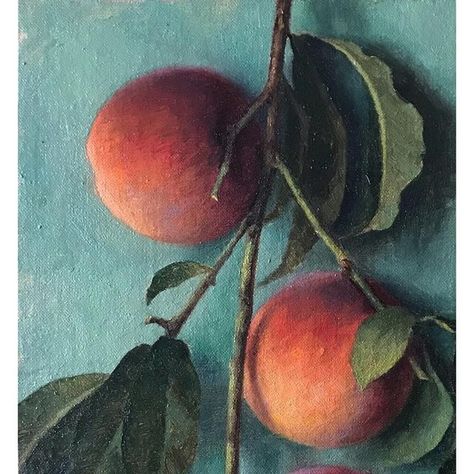 Kamille Corry on Instagram: "SWIPE for process - taking advantage of the last peaches from the garden  SOLD
AVAILABLE — contact @annlongfineart for inquiries 

Ann Long Fine Art is having a virtual sale to benefit Charles Cecil Studios and the Florence Academy of Art - to help out these art schools who have been so affected by the pandemic, and who have contributed so much to contemporary figurative art education.  Ann has a lot of great work in this show - if you’re looking to add to your collection, or start an art collection, check out the show.  Link in bio 

@annlongfineart 
@charlescecilstudios 
@florenceacademyofart 

#contemporaryart #contemporarypainting #contemporaryrealism #oilpainting #stilllife #peaches #paintfromlife #kamillecorry" Kamille Corry, Contemporary Figurative Art, Florence Academy Of Art, Vegetable Art, Art Schools, Taking Advantage, Art Education, Figurative Art, Contemporary Paintings