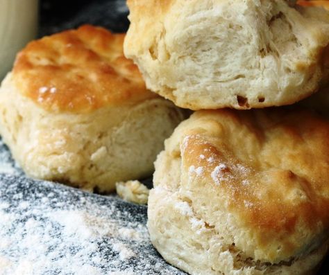 Kfc Biscuit Recipe, Perfect Biscuits, 3 Ingredient Biscuit Recipe, Kfc Biscuits, 2 Ingredient Biscuits, Easy Homemade Biscuits, Homemade Biscuits Recipe, Pan Relleno, Canned Biscuits