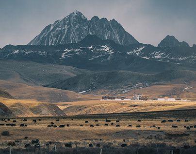 Check out new work on my @Behance profile: "TIBETAN PLATEAU" http://be.net/gallery/87483991/TIBETAN-PLATEAU Tibetan Plateau Pictures, Tibetan Landscape, Tibetan Plateau, Tabula Rasa, Cover Ideas, Botanical Drawings, Tibet, World Heritage Sites, World Heritage