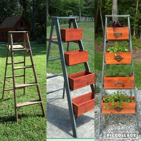 My latest project......step ladder repurposed into my Herb planter. Repurposed Ladder Ideas, Old Ladders Repurposed Garden, Outdoor Ladder Decor Garden Ideas, Step Ladder Repurpose, Step Ladder Decor, Repurposed Planter Ideas, Old Ladders Repurposed, Ladders In The Garden, Wood Ladder Decor