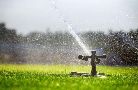 Photo automatic watering system sprays w... | Premium Photo #Freepik #photo #sprinkler #irrigation-system #irrigation #grass Sprinkler System Diy, Lawn Sprinkler System, Fall Landscaping, Automatic Watering System, Lawn Irrigation, How To Make Compost, Water In The Morning, Lush Lawn, Watering System