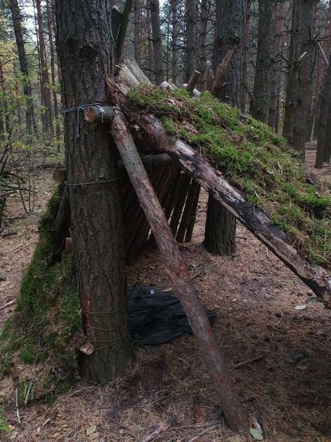 Woods Hangout Spot, Shelter In The Woods, Forest Shelter, Forest Survival, Shelters In The Woods, Outdoor Forts, Backyard Fort, Bushcraft Shelter, Tree Fort