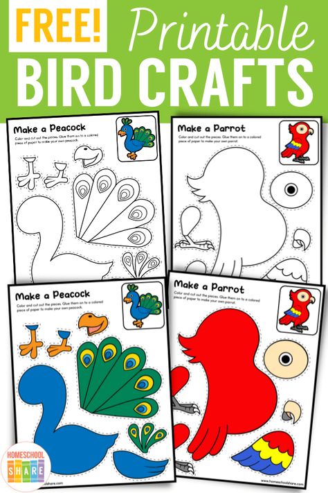 Printable Bird Crafts - Homeschool Share Parrot Craft Preschool Template, Bird Week Activities, Parrot Craft Preschool, Parrot Crafts For Kids, Birds Theme Preschool Activities, Bird Crafts For Kids Easy, Birds Preschool Activities, Bird Template Printable Free Pattern, Bird Crafts For Kids