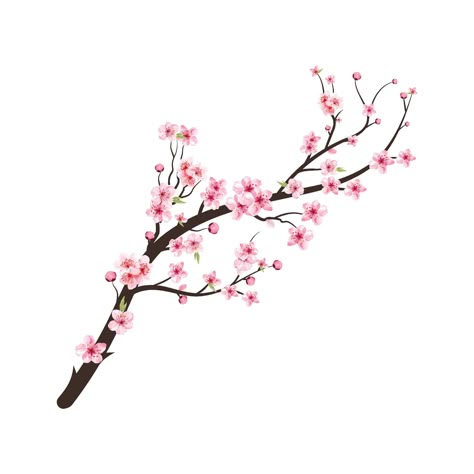 Watercolor cherry bud. Cherry blossom tree branch with sakura flower. Watercolor cherry blossom. Cherry blossom flower blooming vector. Pink sakura flower background. Sakura on white background. Flower Branch Painting, Cherry Blossom Cartoon, Sakura Tree Branch, Japanese Cherry Blossom Art, Sakura Drawing, Cherry Blossom Tree Branch, Cherry Tree Branch, Cherry Blossom Vector, Tree Branch Tattoo