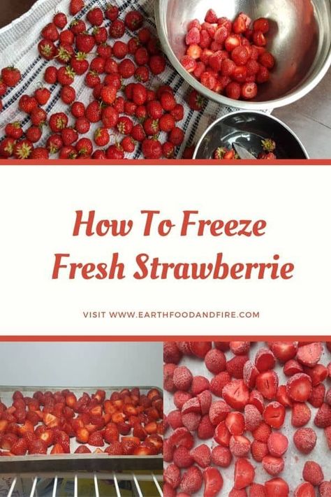 Learn how to freeze fresh strawberries, and preserve a little taste of summer for year-round use. #preserving #strawberries #freezing #mealprep How To Preserve Strawberries, Preserving Strawberries, Preserve Strawberries, Freeze Strawberries, Strawberry Watermelon Smoothie, Freezing Strawberries, Strawberry Rhubarb Crumble, Frozen Drink Recipes, Rhubarb Crumble