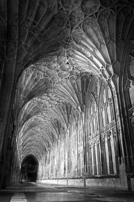 Richly roofed | The south range of the medieval cloister at … | Flickr Gothic Architecture Drawing, Gloucester Cathedral, Gothic Buildings, Gothic Cathedrals, Cathedral Architecture, Indoor Trees, Gothic Church, Tapeta Galaxie, Baroque Architecture