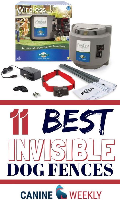 What is the best dog fence? Want the best price to keep your dog at home outside. That’s where an invisible dog fence comes in. Wireless fences, electric dog fences, underground fences and other wireless pet containment systems are a great way to restrict where your dog can roam without a visible fence. There are many benefits to installing an electric dog fence. We will provide some of the most common advantages of an invisible dog fence compared to no fence or a traditional fence. #DogFence Traditional Fence, Electric Dog Fence, Invisible Fence, Dog At Home, Top Dog Breeds, Wireless Dog Fence, Home Outside, Dog Wellness, Colorful Hairstyles