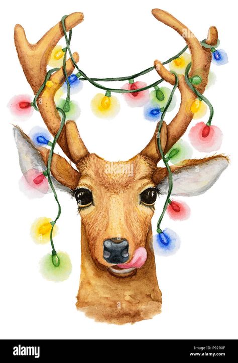 Download this stock image: Christmas deer with a garland illustration. Watercolor drawing isolated. - P92RXF from Alamy's library of millions of high resolution stock photos, illustrations and vectors. Deer Drawing Christmas, Christmas Deer Drawing, Reindeer Fingerprint, Christmas Pictures To Draw, Garland Illustration, Reindeer Drawing, Illustrations Ideas, Deer Drawing, Watercolor Christmas Cards