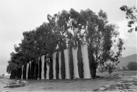 https://flic.kr/p/KyWTbi | Old Drive-In, Newbury Park | Views of the old drive-in theater, which were used in an article on talks underway to develop a cineplex on the old site.  News Chronicle Collection, photographer unknown.  01-01-1987_2, CTO_291.    We're happy to share this digital image on Flickr. Please note that this is a copyrighted image. For information regarding obtaining a reproduction of this image, please contact the Special Collections Librarian of the Thousand Oaks Library at s Newbury Park, California History, Drive In Theater, Simi Valley, Ventura County, Thousand Oaks, Local History, An Article, Drive In