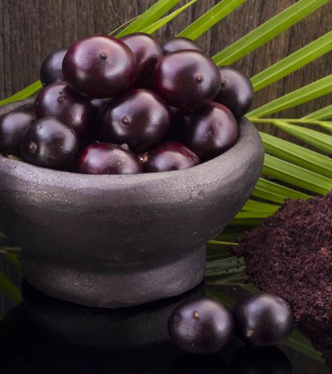 13 Side Effects Of Acai Berry You Should Be Aware Of Acai Palm Tree, Fruit Paradise, Cloves Benefits, Benefits Of Berries, Mango Benefits, Acai Fruit, Green Tea Benefits, Pollen Allergies, Acai Berry